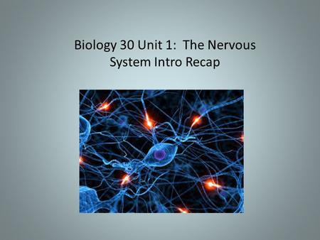 Biology 30 Unit 1: The Nervous System Intro Recap.