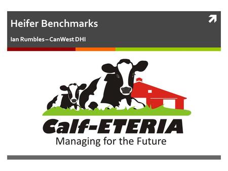 Heifer Benchmarks Ian Rumbles – CanWest DHI. Deck of Cards What would you build with a deck of cards?