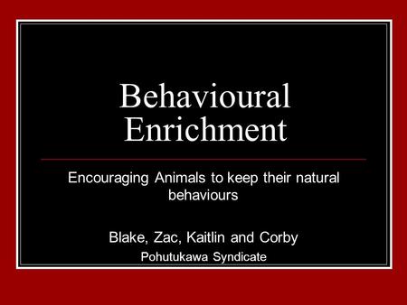 Behavioural Enrichment Encouraging Animals to keep their natural behaviours Blake, Zac, Kaitlin and Corby Pohutukawa Syndicate.
