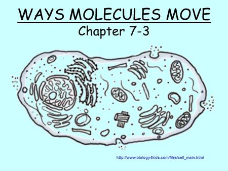 WAYS MOLECULES MOVE Chapter 7-3