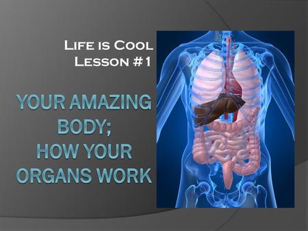 Life is Cool Lesson #1. Your Organs and Tissues The Heart  Found on the left side of the chest  A pump made of four chambers  Pumps blood throughout.