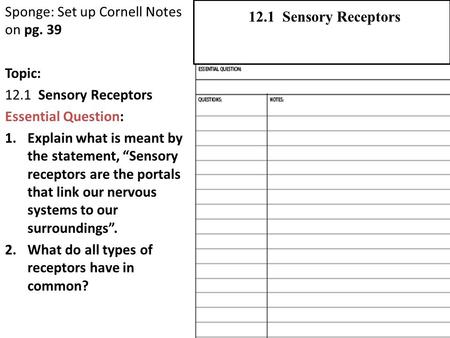 Sponge: Set up Cornell Notes on pg. 39 Topic: 12.1 Sensory Receptors Essential Question: 1.Explain what is meant by the statement, “Sensory receptors are.