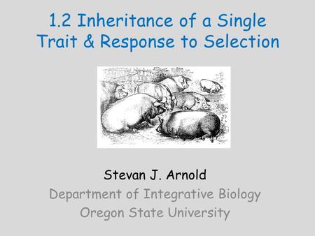 1.2 Inheritance of a Single Trait & Response to Selection Stevan J. Arnold Department of Integrative Biology Oregon State University.