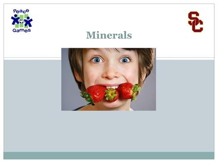 Minerals.  one of micronutrient substances.  these elements deposited in the rock,go to soil, then to plants, animal eat it,then go to human.  inorganic.