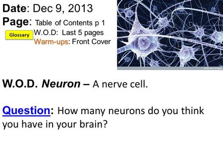 Warm-ups Date: Dec 9, 2013 Page: Table of Contents p 1 W.O.D: Last 5 pages Warm-ups: Front Cover W.O.D. Neuron – A nerve cell. Question: How many neurons.