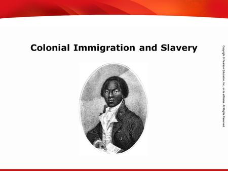TEKS 8C: Calculate percent composition and empirical and molecular formulas. Colonial Immigration and Slavery.