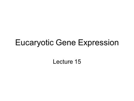 Eucaryotic Gene Expression Lecture 15. Key Eucaryotic Features DNA is wrapped around chromatin –Nucleosomes made of histone proteins –Tightly packaged.