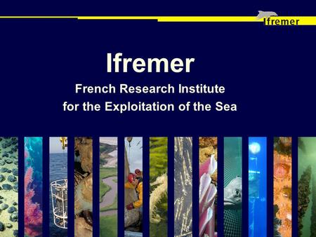 Ifremer French Research Institute for the Exploitation of the Sea.