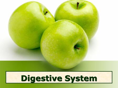 Digestive System. Digestive System Rap Job of Digestive System Break down food (macromolecules) into nutrients & energy.