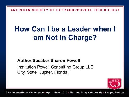 How Can I be a Leader when I am Not in Charge? Author/Speaker Sharon Powell Institution Powell Consulting Group LLC City, State Jupiter, Florida.