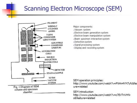 Scanning Electron Microscope (SEM)