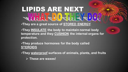 LIPIDS ARE NEXT They are a great source of STORED ENERGY. They INSULATE the body to maintain normal body temperature and they CUSHION the internal organs.