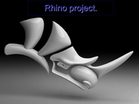 Rhino project.. Rhino Rhino is a program where u can take a 2D object a make it 3D. Rhino allows you to rotate, break down, and design an object from.