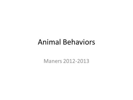 Animal Behaviors Maners 2012-2013. What adaptation allows camels to survive for so long in the desert? a.Claws b.Humps c.Eyes d.feet.