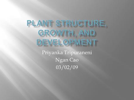 Priyanka Tripuraneni Ngan Cao 03/02/09.  An angiosperm is a flowering plant.  It has three basic organs, the roots, stems, and leaves.  Angiosperms.