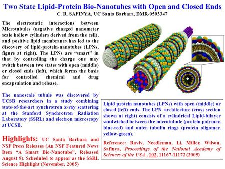 Two State Lipid-Protein Bio-Nanotubes with Open and Closed Ends C. R. SAFINYA, UC Santa Barbara, DMR-0503347 The electrostatic interactions between Microtubules.