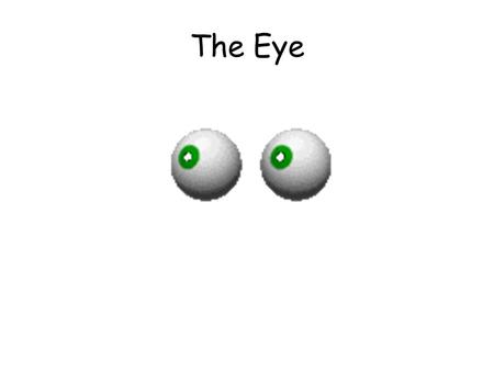 The Eye. Energy v. Chemical senses Energy SensesChemical Senses.