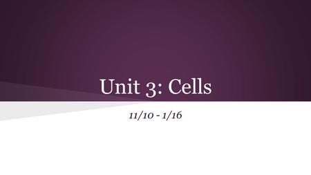 Unit 3: Cells 11/10 - 1/16.