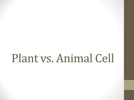 Plant vs. Animal Cell.