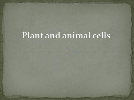 All living things are made of cells. Animal and plant cell are similar but plant cells have some extra bits.