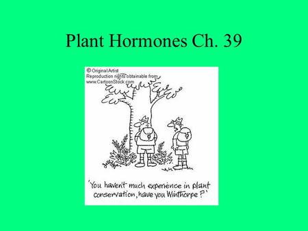 Plant Hormones Ch. 39. I. Plant Hormones- A compound produced by one part of the plant Hormones- A compound produced in one area of an organism and.