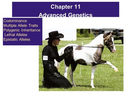 Chapter 11 Advanced Genetics