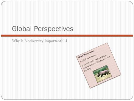 Global Perspectives Why Is Biodiversity Important? L1 Black Rhinoceros Poached for its horn. From 1970-1992, 96% of Africa’s black rhinos were killed in.