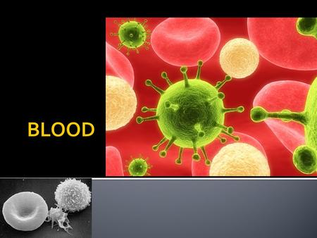  Plasma  fluid part  55% of blood volume  Contains/transports the proteins, red blood cells, white blood cells, platelets, essential nutrients, enzymes,