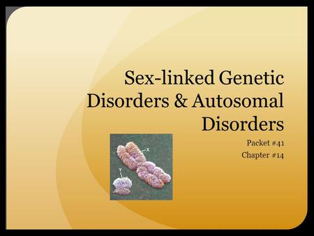 Sex-linked Genetic Disorders & Autosomal Disorders Packet #41 Chapter #14.