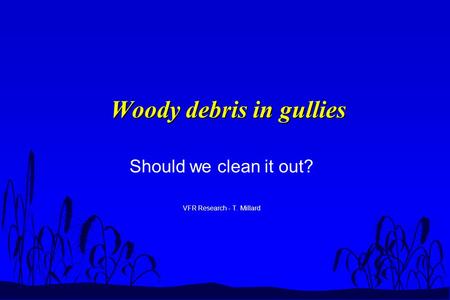Woody debris in gullies Should we clean it out? VFR Research - T. Millard.