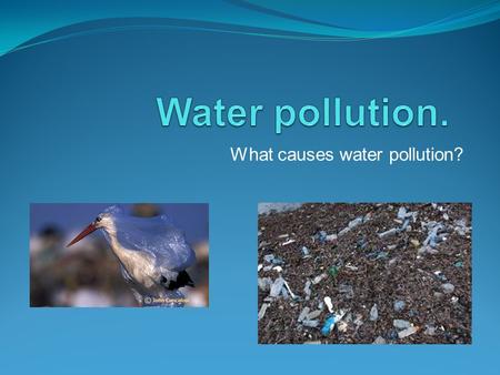 What causes water pollution?. Water Pollution Clean water is important to everyone – for drinking, swimming, growing food, playing, showering and washing.