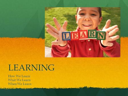 LEARNING How We Learn What We Learn When We Learn.