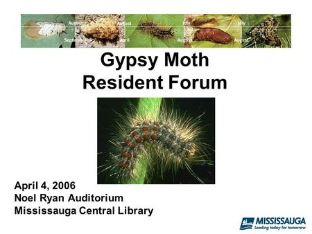 April 4, 2006 Noel Ryan Auditorium Mississauga Central Library Gypsy Moth Resident Forum.