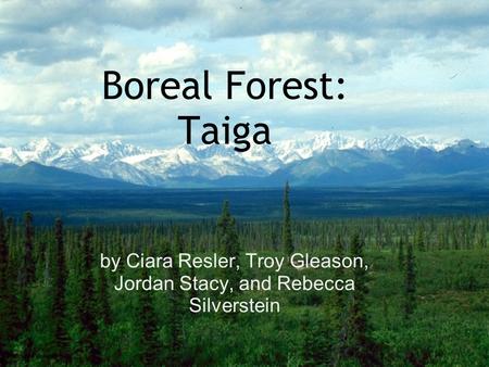 Boreal Forest: Taiga by Ciara Resler, Troy Gleason, Jordan Stacy, and Rebecca Silverstein.
