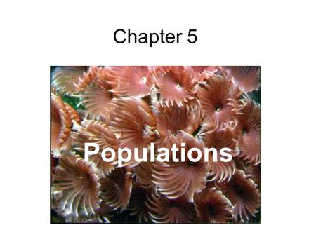 Chapter 5 Populations. members of the same species that reside in the same area.
