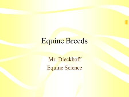 Equine Breeds Mr. Dieckhoff Equine Science. Terminology.