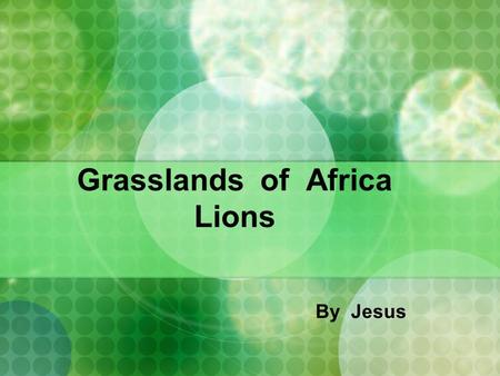 Grasslands of Africa Lions By Jesus. Map of Africa.