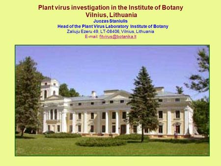 Plant virus investigation in the Institute of Botany Vilnius, Lithuania Juozas Staniulis Head of the Plant Virus Laboratory Institute of Botany Zaliuju.