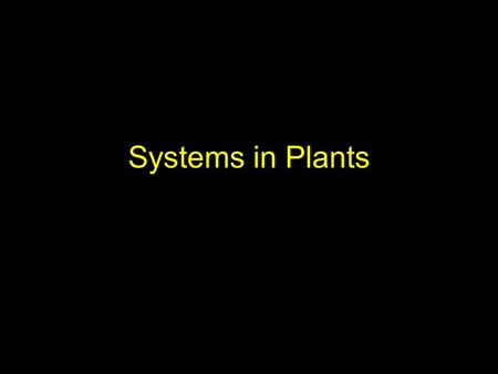 Systems in Plants. Why are plants important to us?
