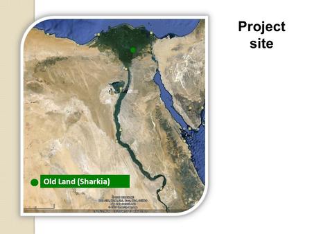 Old Land (Sharkia) Project site. Zankalon Water Research Station Water Management Research Institute (NWRC)