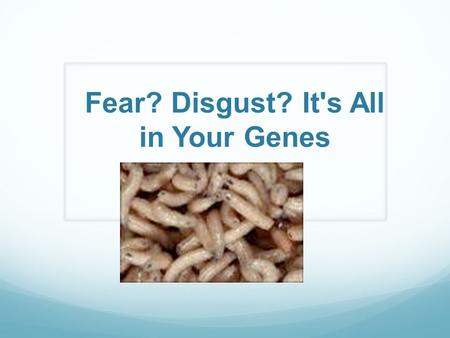 Fear? Disgust? It's All in Your Genes. What scares you the most, a rattlesnake or a car?