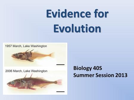 Evidence for Evolution Biology 40S Summer Session 2013.