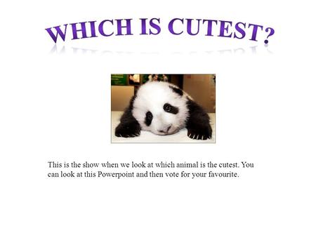 This is the show when we look at which animal is the cutest. You can look at this Powerpoint and then vote for your favourite.