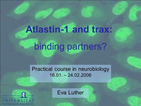 Practical course in neurobiology –