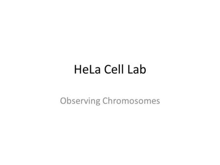 HeLa Cell Lab Observing Chromosomes. Vocabulary Diploid – The state of the cells in which all chromosomes are two in number and structurally identical.