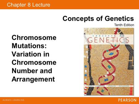 Copyright © 2009 Pearson Education, Inc. Chapter 8 Lecture Concepts of Genetics Tenth Edition Chromosome Mutations: Variation in Chromosome Number and.