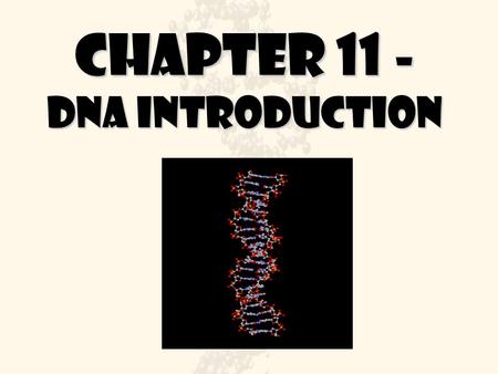 Chapter 11 - DNa introduction. Forensics Uses DNA evidence has been used to investigate crimes, establish paternity, and identify victims of war and large-