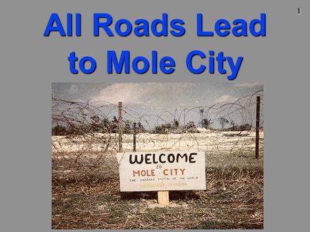 All Roads Lead to Mole City