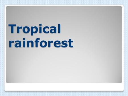 Tropical rainforest. The tropical rain forest is a forest of tall trees in a region of year-round warmth. An average of 50 to 260 inches (125 to 660 cm.)