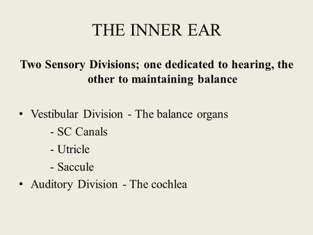 THE INNER EAR Two Sensory Divisions; one dedicated to hearing, the other to maintaining balance Vestibular Division - The balance organs - SC Canals -
